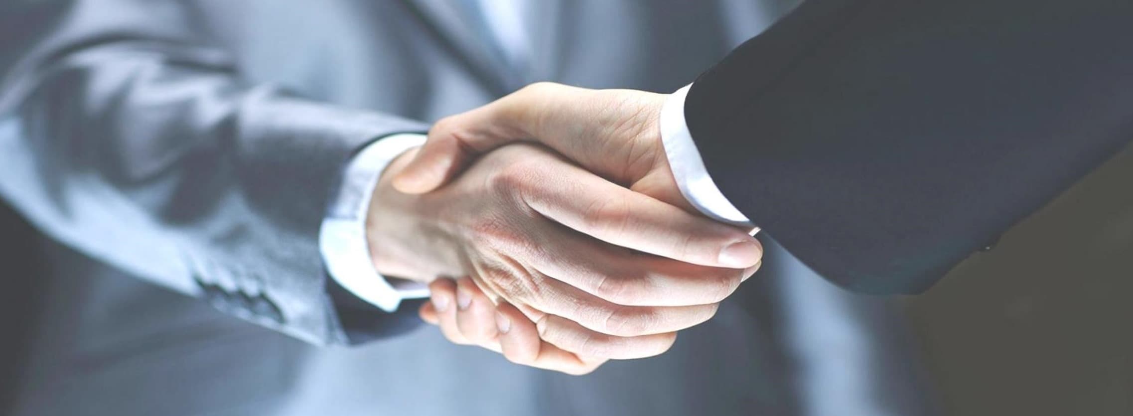 Business partners shaking hands
